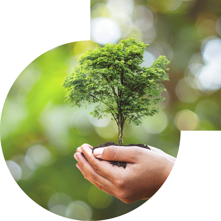 關懷人類、文化、環境與社會